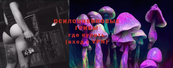 jwh Богородицк