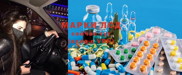 крисы Богданович