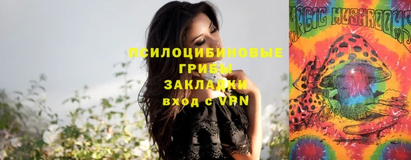 jwh Богородицк