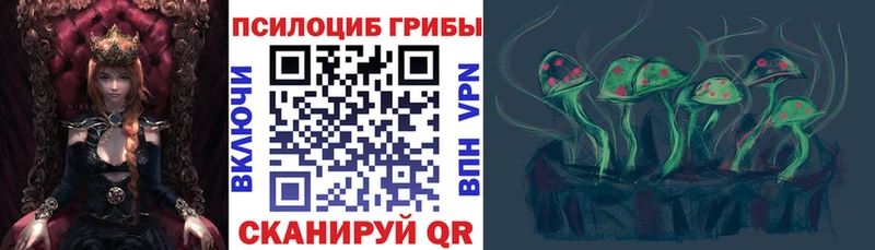 OMG маркетплейс  Пенза  Галлюциногенные грибы Psilocybine cubensis 